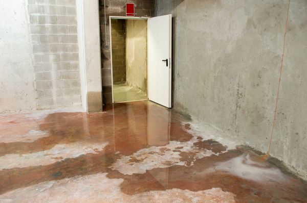 Cost of Wet Basement Repair in Holland